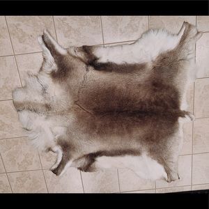 Authentic Alaskan reindeer skin